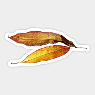 New and old, Leaves Sticker